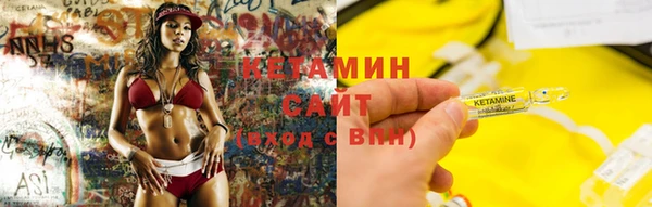 шишки Тайга