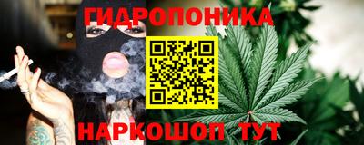 крисы Берёзовский