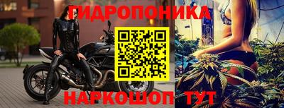 крисы Берёзовский