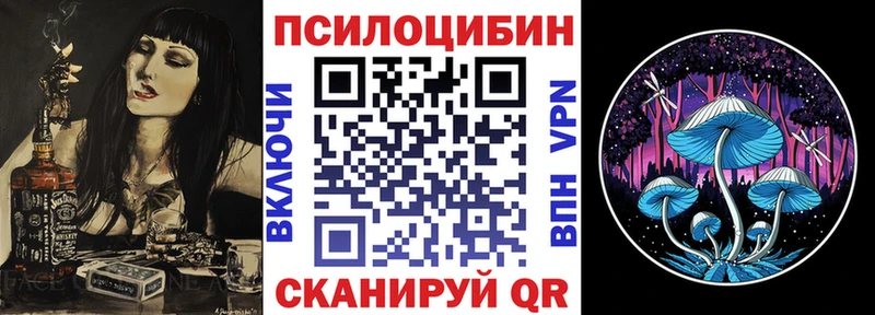 shop клад  Видное  Галлюциногенные грибы Cubensis 