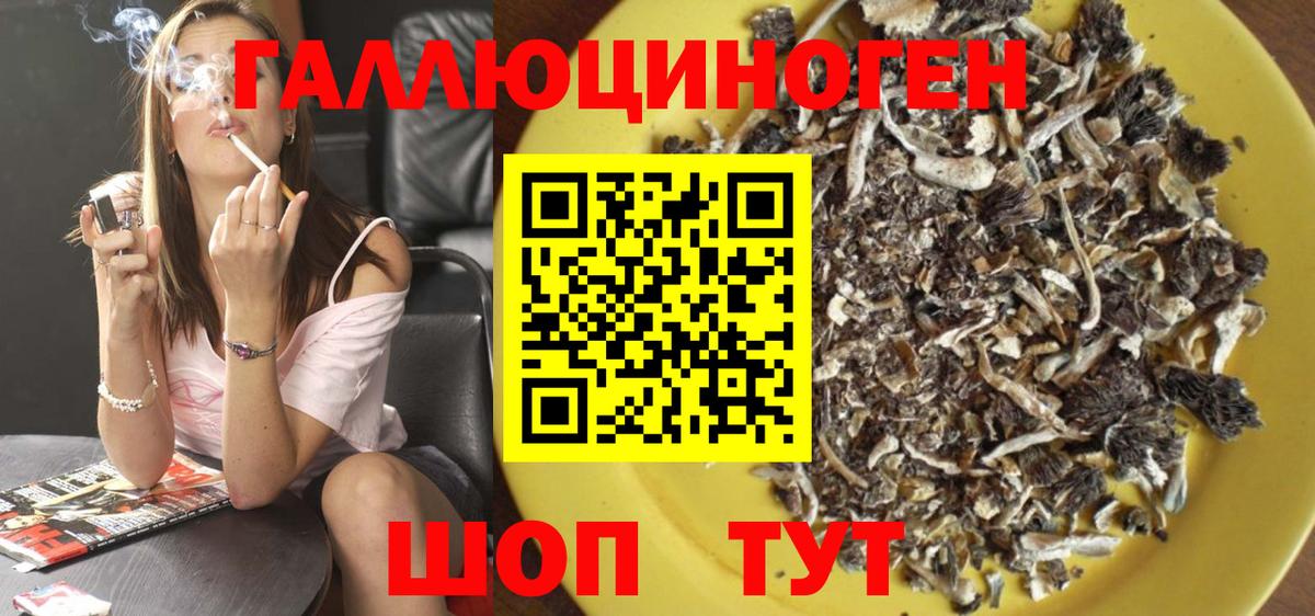 Псилоцибиновые грибы мицелий Видное