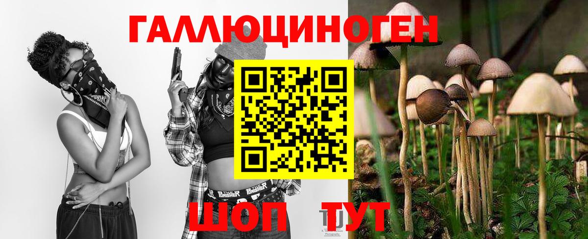 Псилоцибиновые грибы мицелий Видное