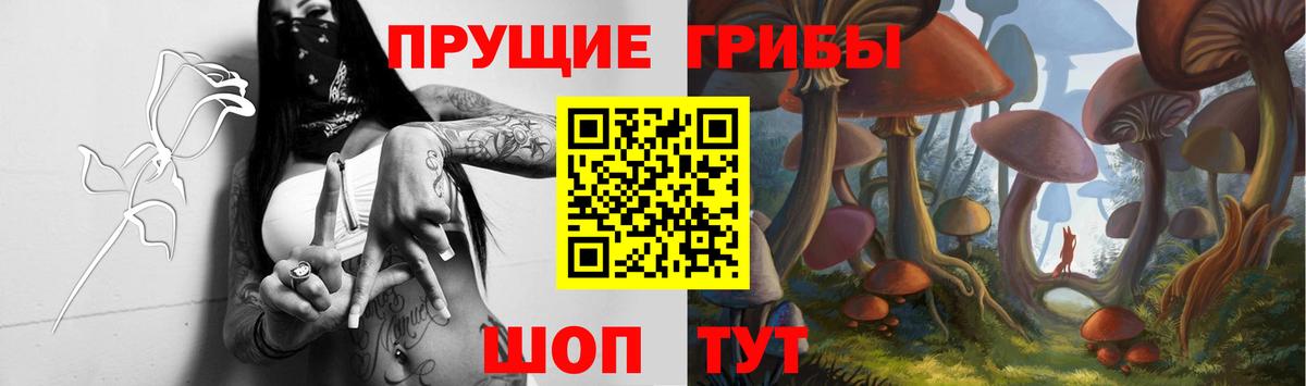 Галлюциногенные грибы Psilocybe  Псилоцибиновые грибы ЛСД  Видное  Вход с VPN 